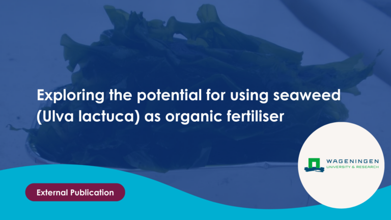 Exploring the potential for using seaweed (Ulva lactuca) as organic fertiliser