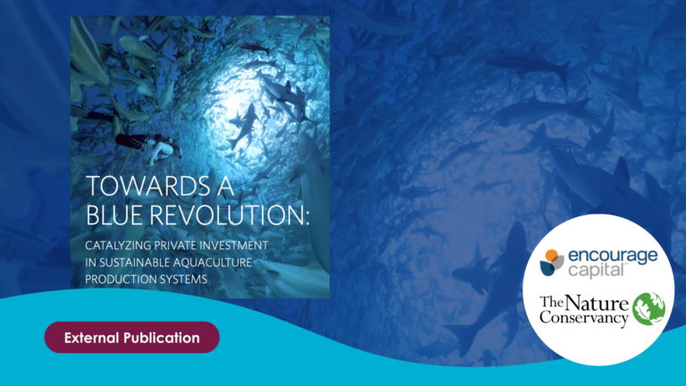 Towards a blue revolution