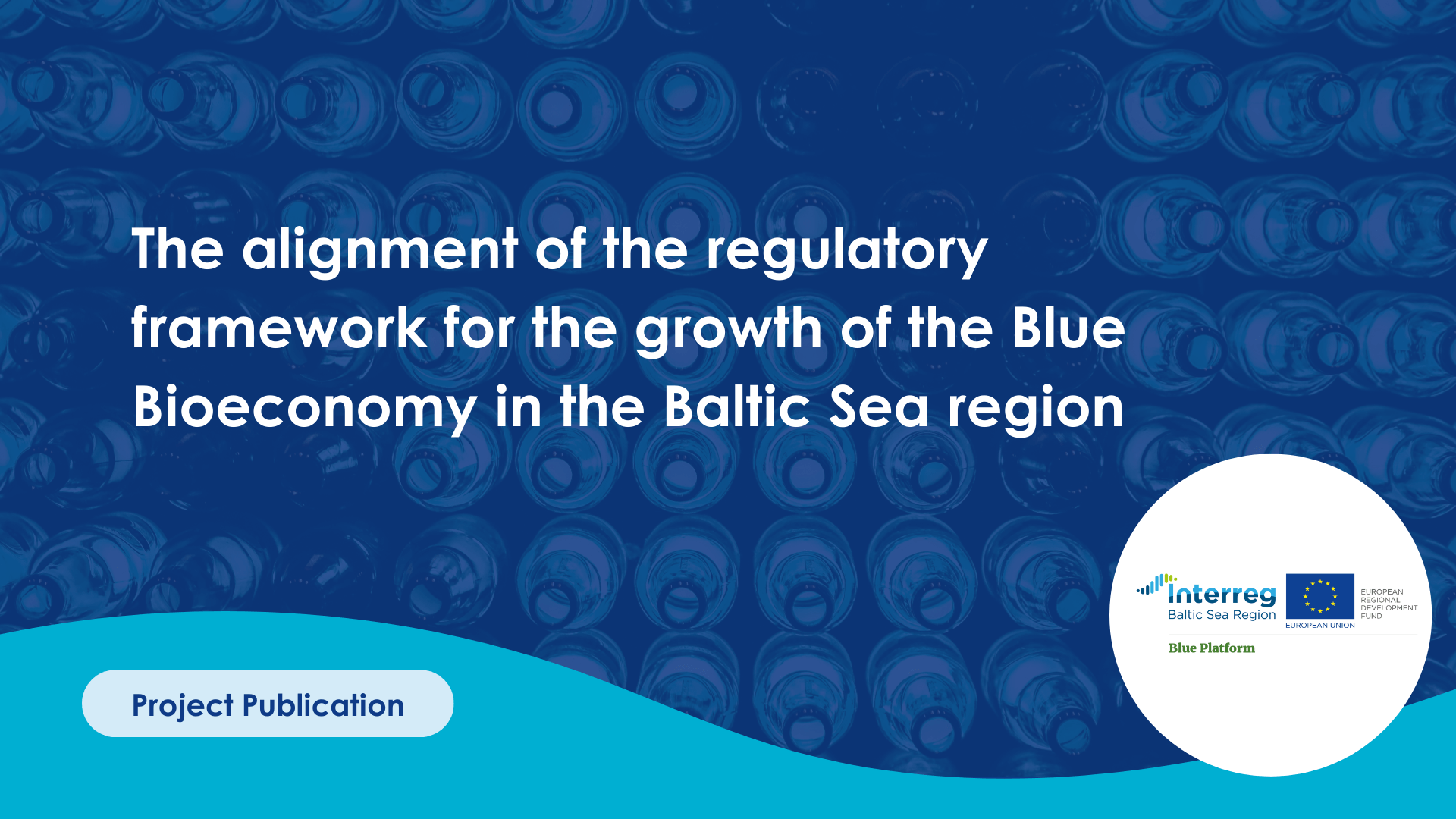 The alignment of the regulatoryframework for the growth of the ...