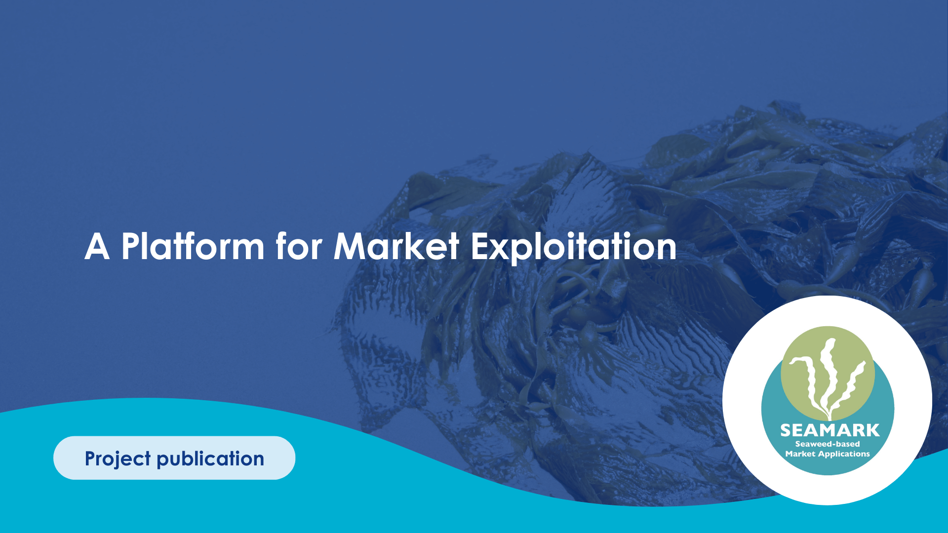 A Platform for Market Exploitation | Submariner Network for Blue Growth