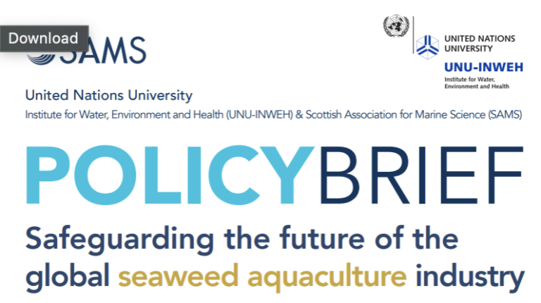 Safeguarding the future of the global seaweed aquaculture industry