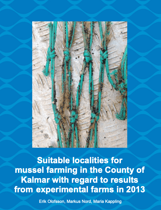 Suitable localities for mussel farming in the County of Kalmar with regard to results from experimental farms in 2013