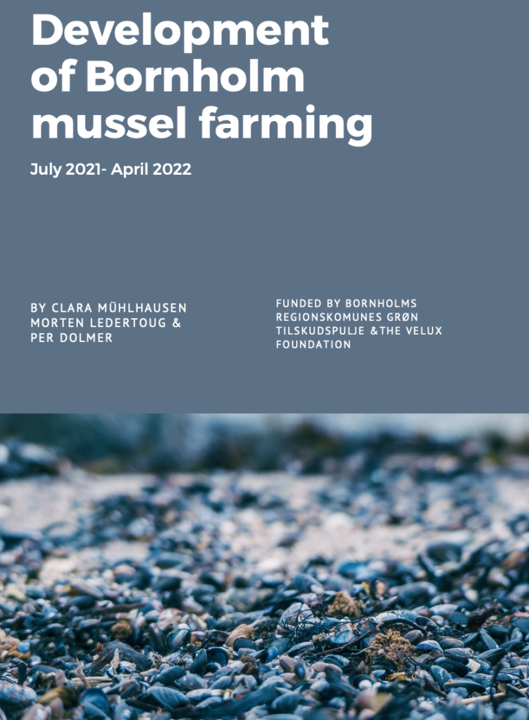 Development of Bornholm mussel farming