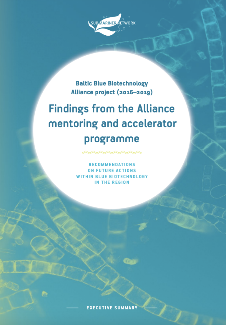 Executive Summary - Findings from the Alliance mentoring and accelerator programme