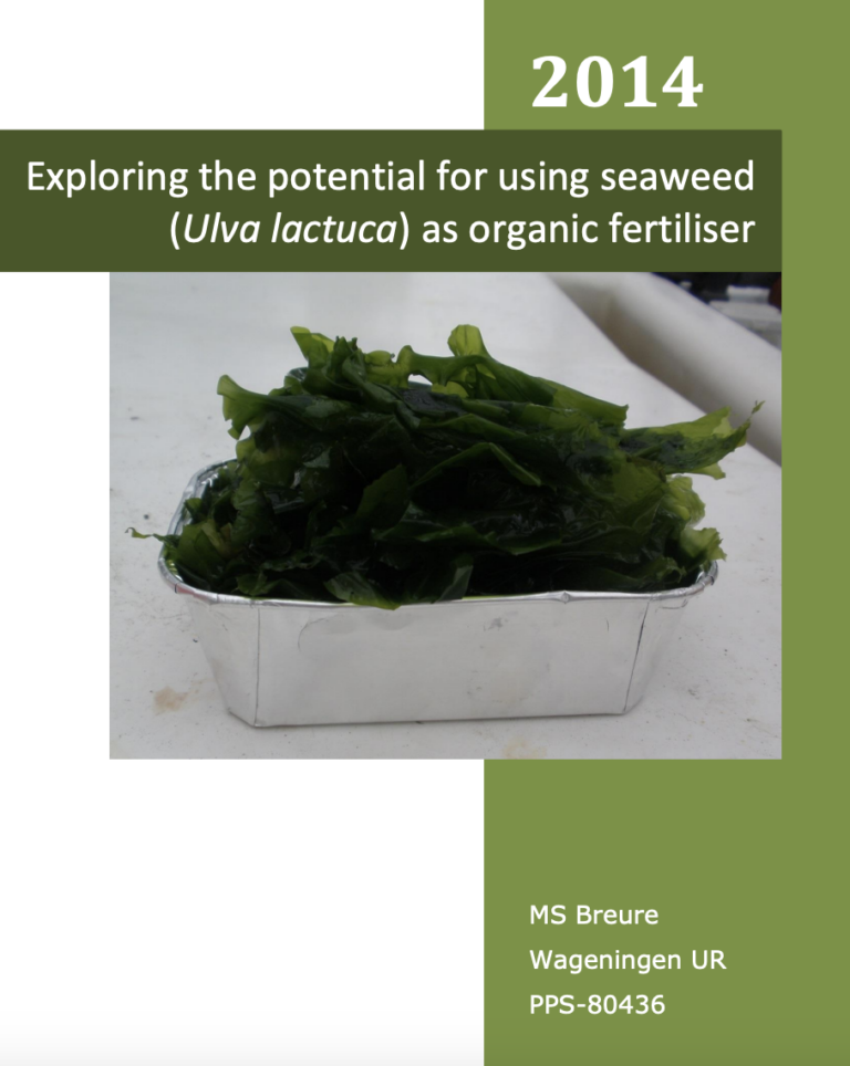 Exploring the potential for using seaweed (Ulva lactuca) as organic fertiliser