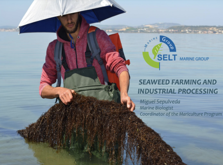 SEAWEED FARMING AND INDUSTRIAL PROCESSING