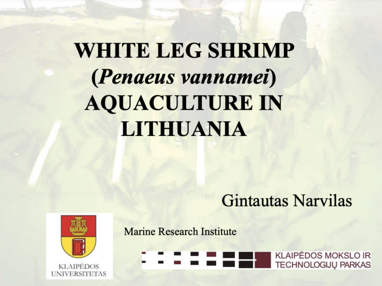 WHITE LEG SHRIMP (Penaeus vannamei) AQUACULTURE IN LITHUANIA