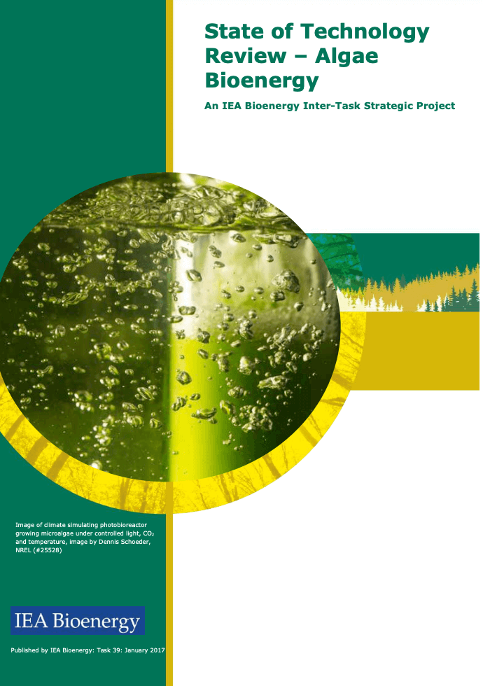 State of Technology Review – Algae Bioenergy