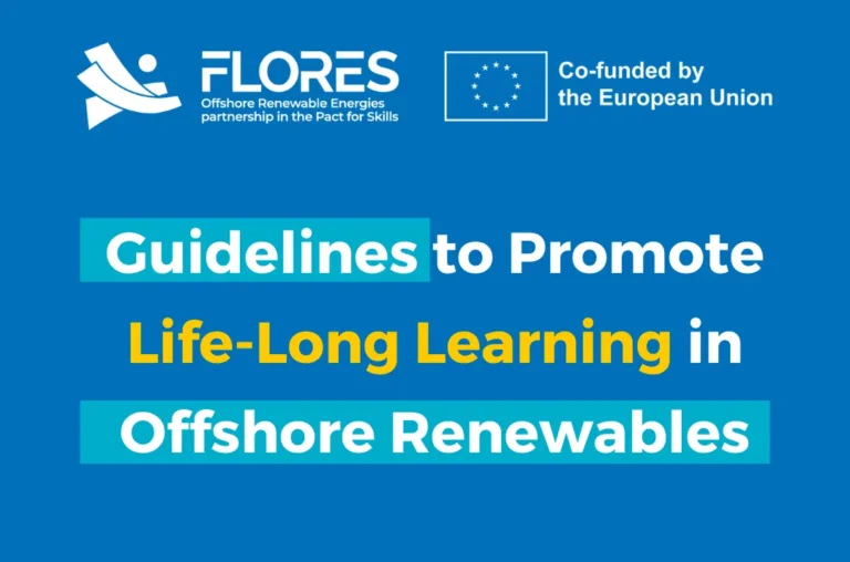 Guidelines to Promote Life-Long Learning in Offshore Renewables