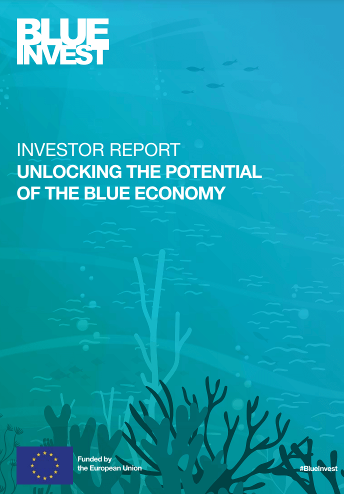 BlueInvest Investor Report