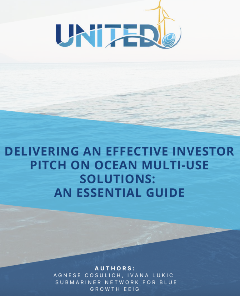 DELIVERING AN EFFECTIVE INVESTOR PITCH ON OCEAN MULTI-USE SOLUTIONS: AN ESSENTIAL GUIDE
