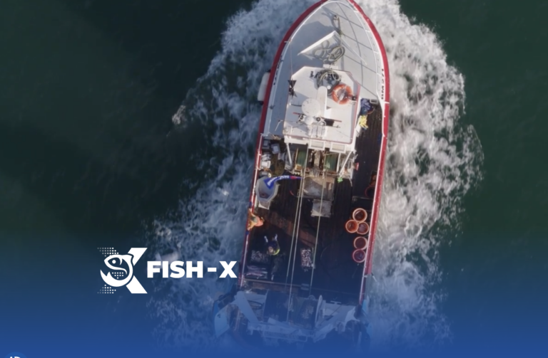 Fish-X