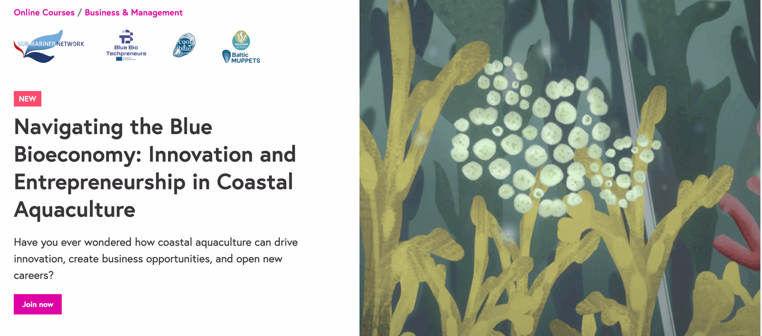Online Course: Navigating the Blue Bioeconomy-Innovation and ...