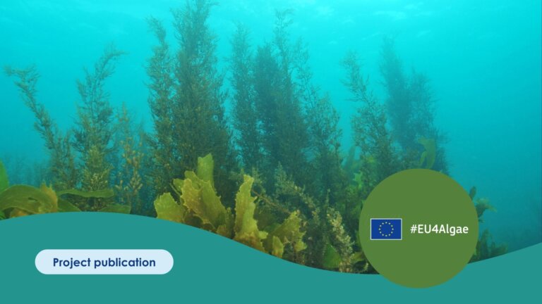 Copy of Publication Template (1)