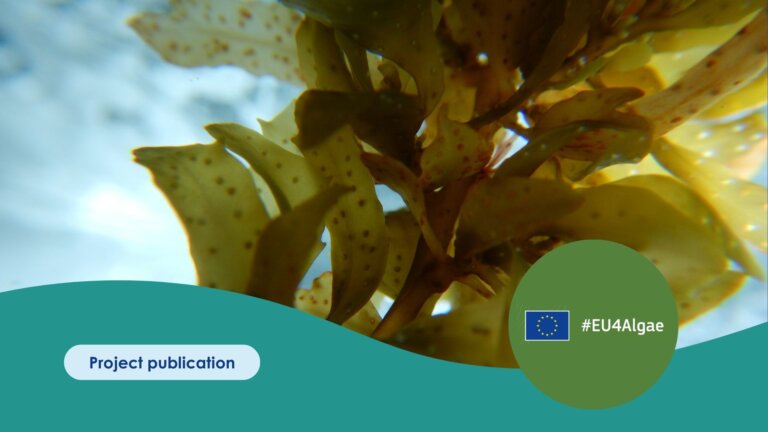 Publication Template (1)