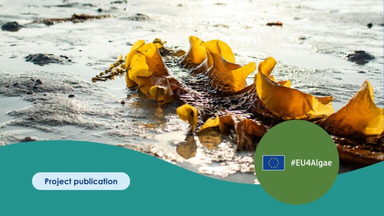 Publication Template (3)