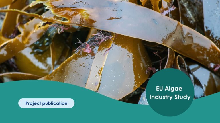 Publication Template (4)