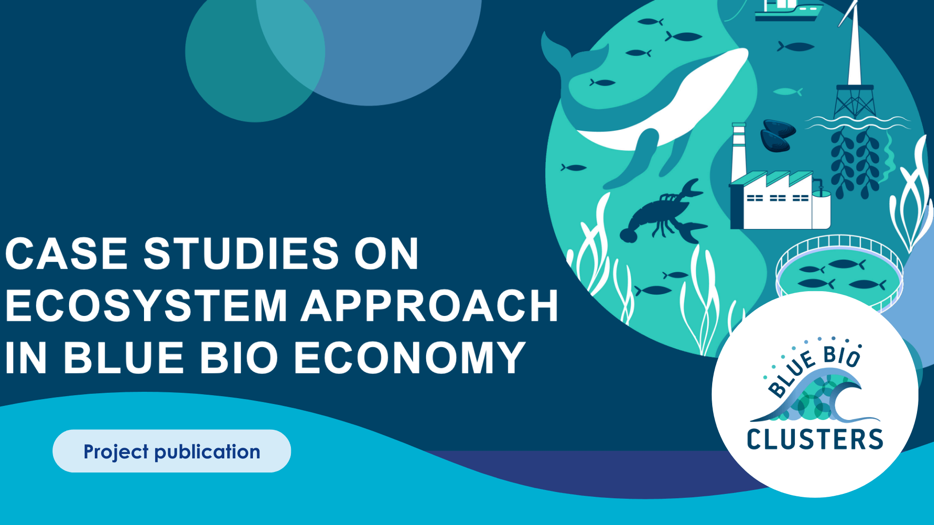 Ecosystem Approach in the Blue Bioeconomy | Submariner Network for Blue ...