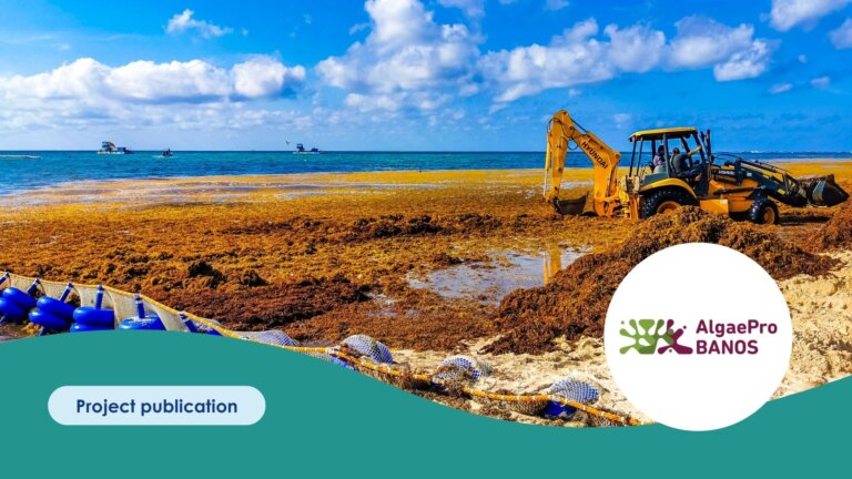 Copy of Publication Template