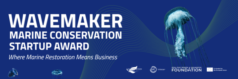 Copy of Award Newsletter Banners & Elements (1800 x 599 px)
