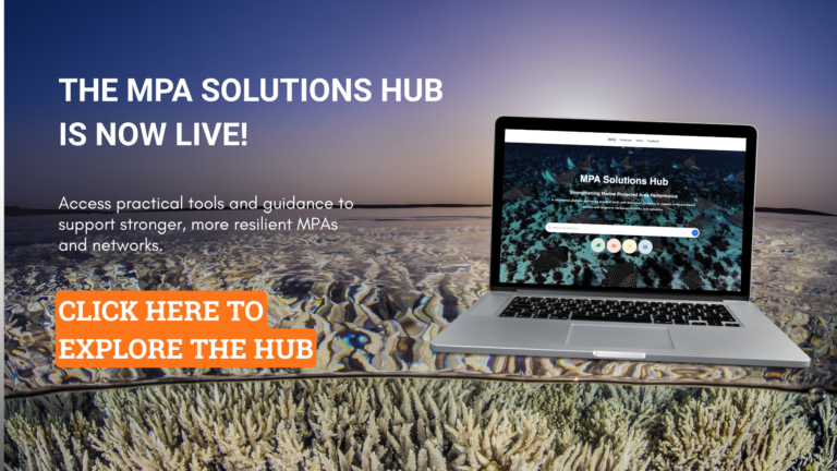 EXPLORE THE HUB, LINK IN BIO
