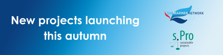 NEWSLETTER (New LinkedIn Banner) (1)