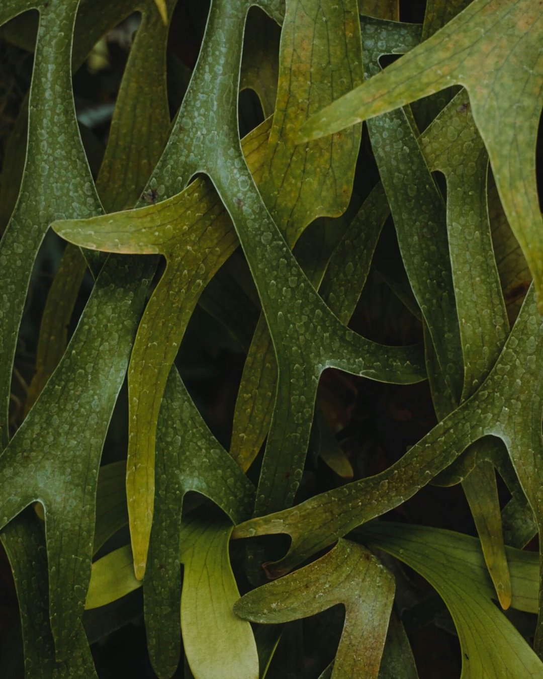 george-dagerotip-_i8AdAxUpMw-unsplash